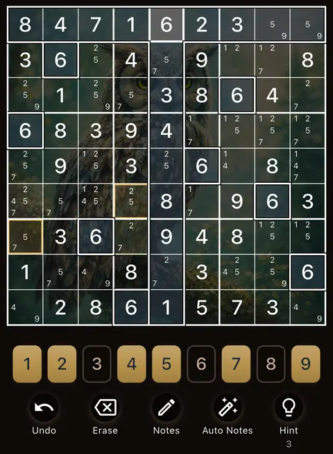 The Owl theme in dark mode: a Sudoku board, the number buttons and the Undo, Erase, Notes, Auto Notes and Hint buttons.