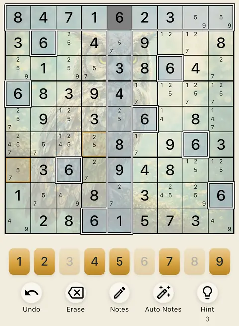 The Owl theme in light mode: a Sudoku board, the number buttons and the Undo, Erase, Notes, Auto Notes and Hint buttons.