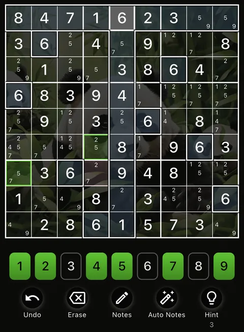 The Panda theme in dark mode: a Sudoku board, the number buttons and the Undo, Erase, Notes, Auto Notes and Hint buttons.