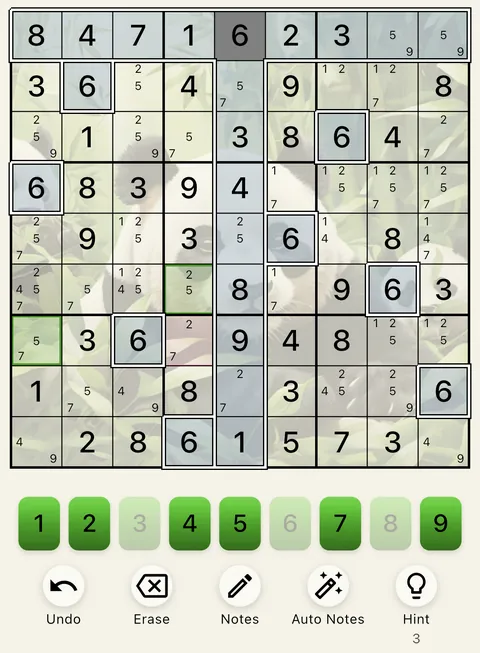 The Panda theme in light mode: a Sudoku board, the number buttons and the Undo, Erase, Notes, Auto Notes and Hint buttons.